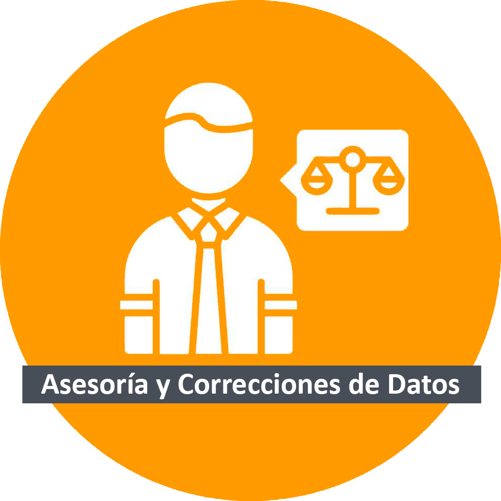 Servicios de Lopedroza- Asesoria y correccion de datos